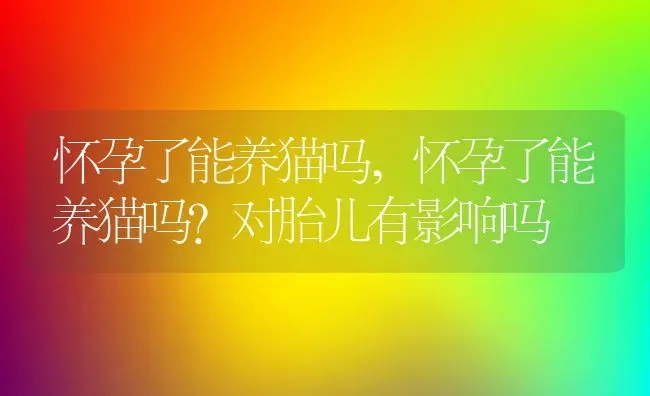 怀孕了能养猫吗,怀孕了能养猫吗?对胎儿有影响吗 | 养殖科普