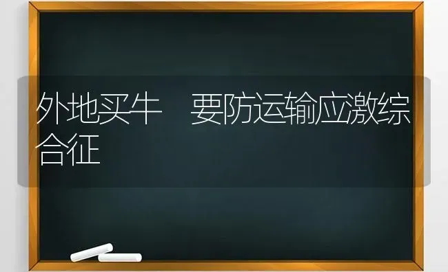 外地买牛 要防运输应激综合征 | 养殖技术大全