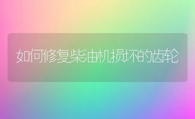 如何修复柴油机损坏的齿轮 | 养殖技术大全
