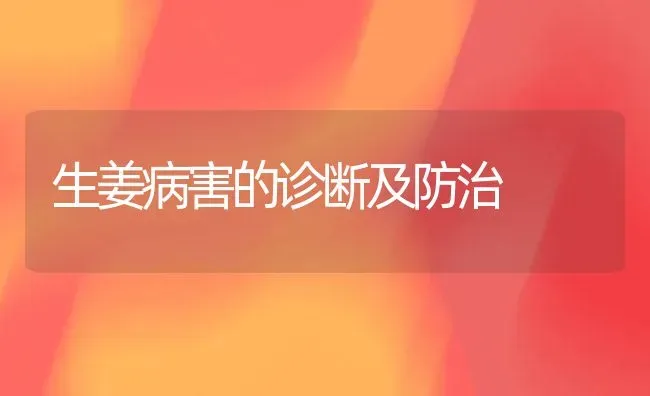 生姜病害的诊断及防治 | 养殖技术大全