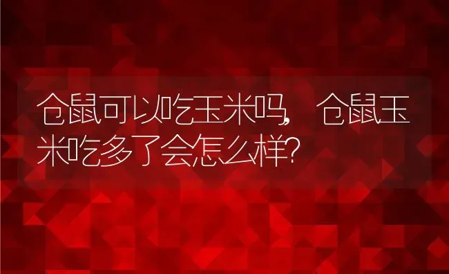 仓鼠可以吃玉米吗,仓鼠玉米吃多了会怎么样？ | 养殖科普