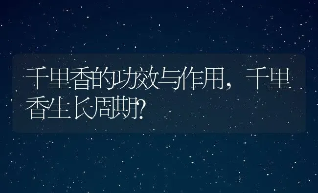 千里香的功效与作用,千里香生长周期？ | 养殖科普