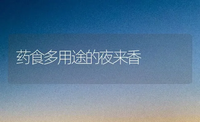 药食多用途的夜来香 | 养殖技术大全
