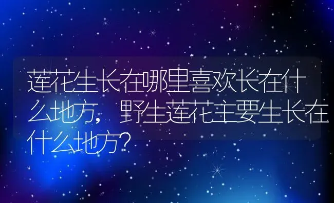 莲花生长在哪里喜欢长在什么地方,野生莲花主要生长在什么地方？ | 养殖科普