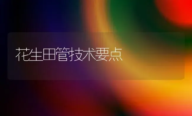 花生田管技术要点 | 养殖知识