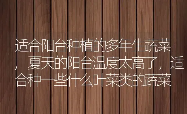 适合阳台种植的多年生蔬菜,夏天的阳台温度太高了，适合种一些什么叶菜类的蔬菜 | 养殖学堂