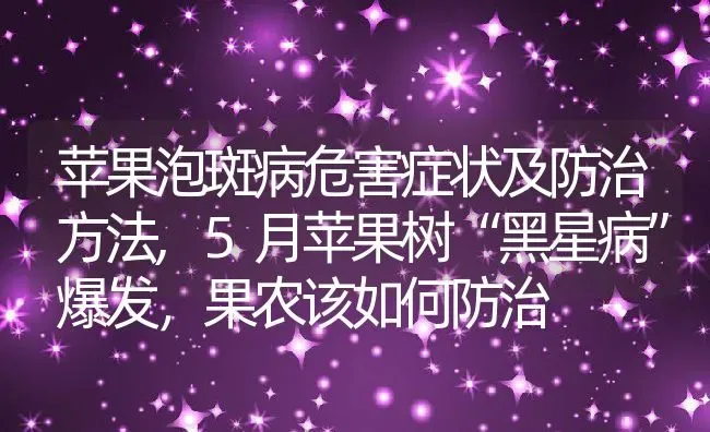 苹果泡斑病危害症状及防治方法,5月苹果树“黑星病”爆发，果农该如何防治 | 养殖学堂