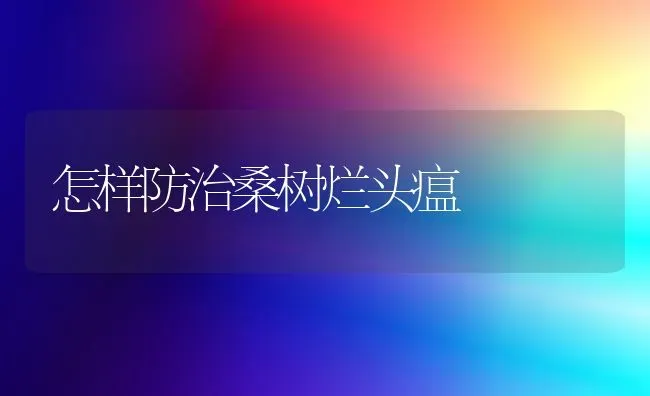 怎样防治桑树烂头瘟 | 养殖技术大全