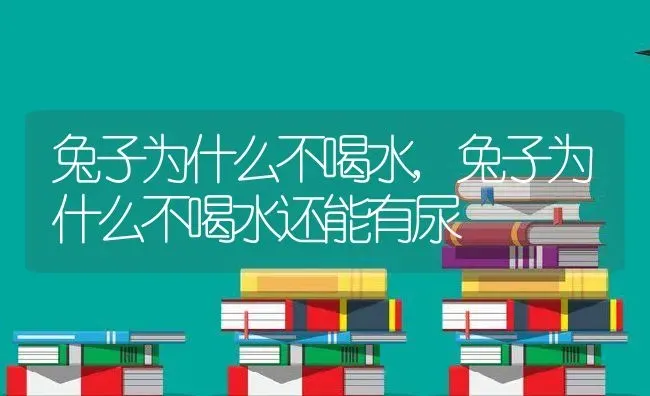 兔子为什么不喝水,兔子为什么不喝水还能有尿 | 养殖科普