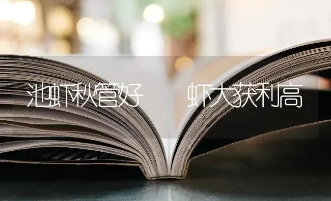 池虾秋管好  虾大获利高 | 养殖技术大全