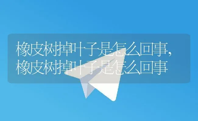 狗拉稀怎么回事,泰迪狗拉稀怎么回事 | 养殖科普