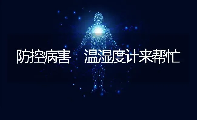 防控病害 温湿度计来帮忙 | 养殖知识