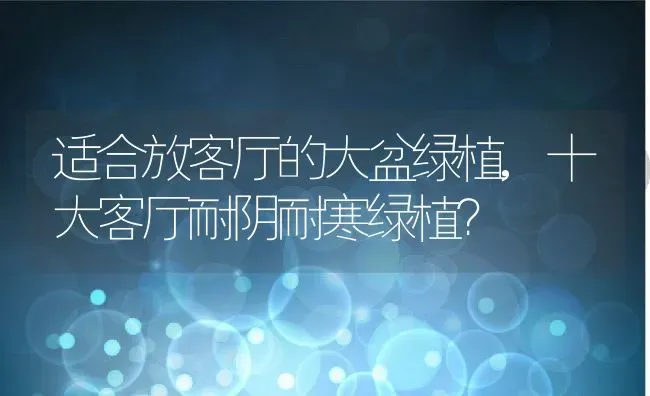 适合放客厅的大盆绿植,十大客厅耐阴耐寒绿植？ | 养殖科普