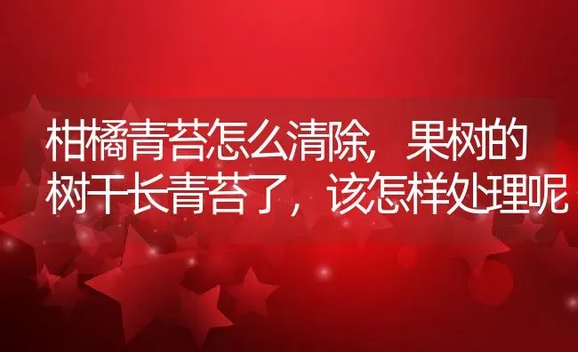 柑橘青苔怎么清除,果树的树干长青苔了，该怎样处理呢 | 养殖学堂