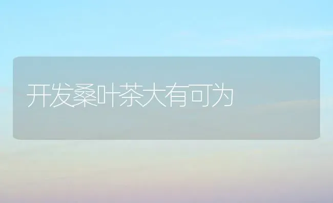 开发桑叶茶大有可为 | 养殖技术大全
