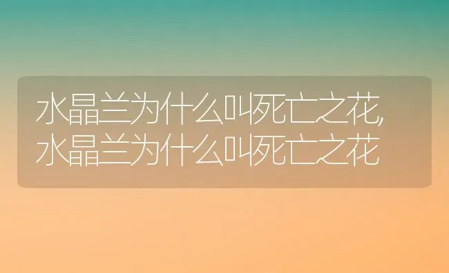 水晶兰为什么叫死亡之花,水晶兰为什么叫死亡之花 | 养殖学堂