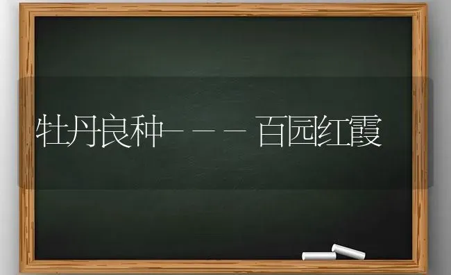 温室大棚作业新机具--KYJ-1型园艺带式捆扎机 | 养殖技术大全