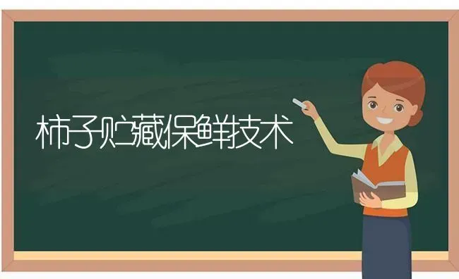 柿子贮藏保鲜技术 | 养殖技术大全