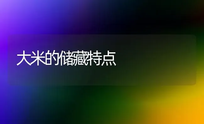 大米的储藏特点 | 养殖技术大全