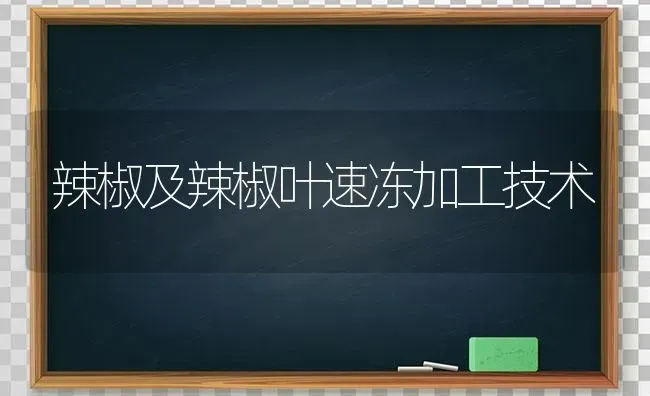 辣椒及辣椒叶速冻加工技术 | 养殖技术大全