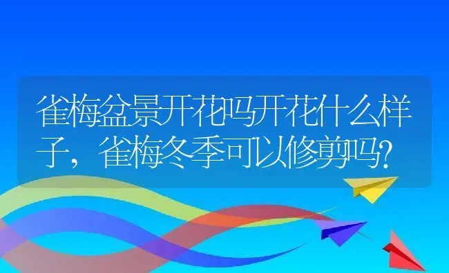 雀梅盆景开花吗开花什么样子,雀梅冬季可以修剪吗？ | 养殖学堂