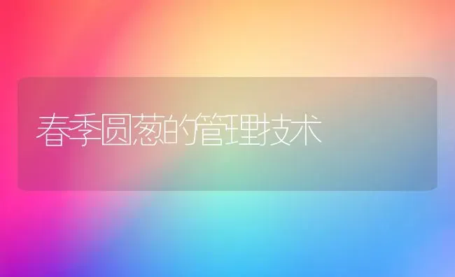 春季圆葱的管理技术 | 养殖技术大全