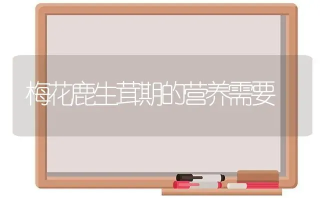 梅花鹿生茸期的营养需要 | 养殖技术大全