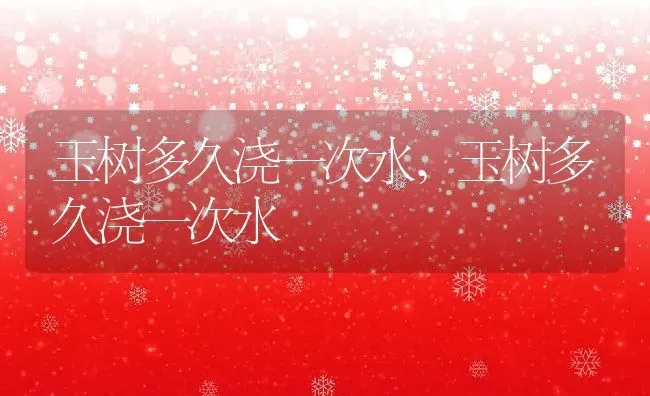 玉树多久浇一次水,玉树多久浇一次水 | 养殖科普