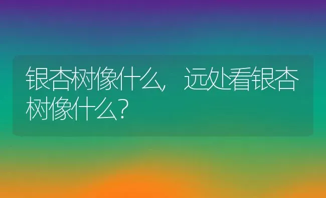 银杏树像什么,远处看银杏树像什么？ | 养殖科普