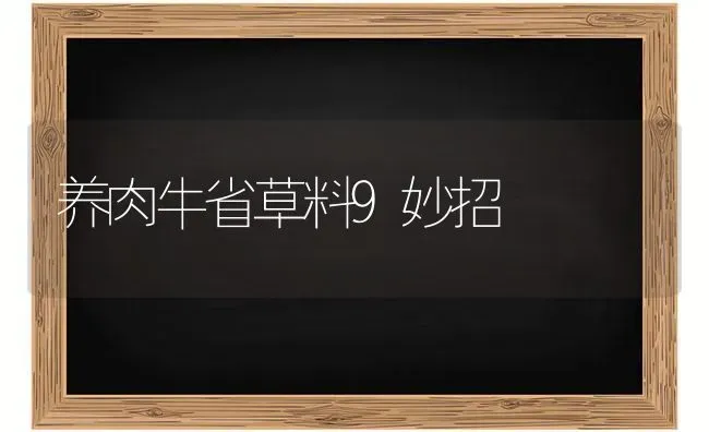 养肉牛省草料9妙招 | 养殖技术大全