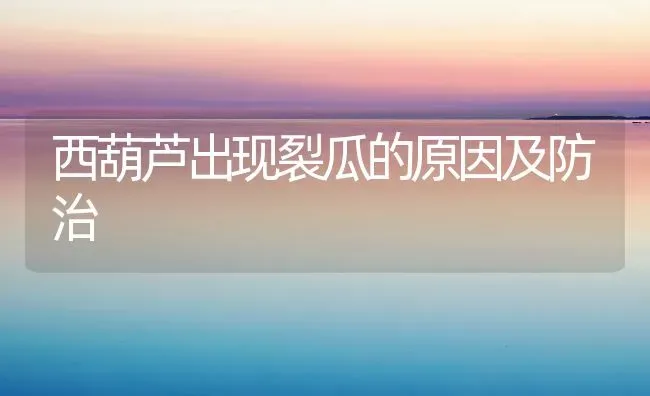 西葫芦出现裂瓜的原因及防治 | 养殖技术大全