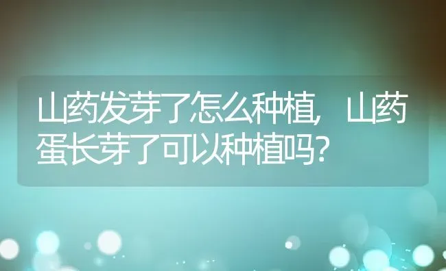 山药发芽了怎么种植,山药蛋长芽了可以种植吗？ | 养殖科普