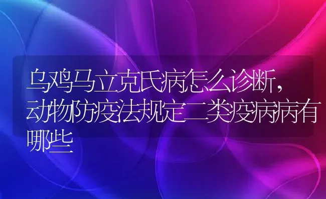 乌鸡马立克氏病怎么诊断,动物防疫法规定二类疫病病有哪些 | 养殖学堂