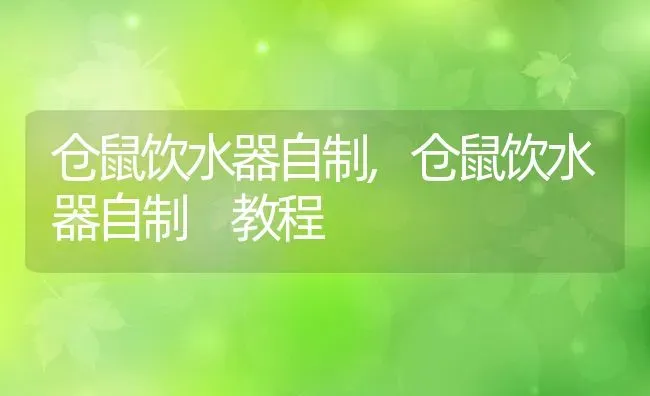 仓鼠饮水器自制,仓鼠饮水器自制 教程 | 养殖科普