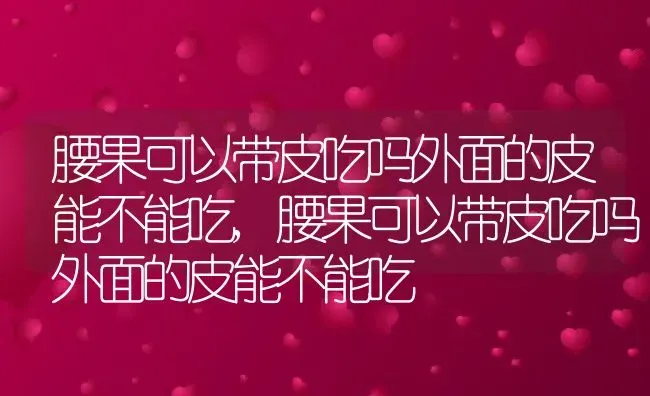 腰果可以带皮吃吗外面的皮能不能吃,腰果可以带皮吃吗外面的皮能不能吃 | 养殖科普