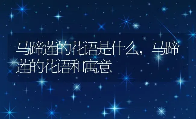 马蹄莲的花语是什么,马蹄莲的花语和寓意 | 养殖学堂