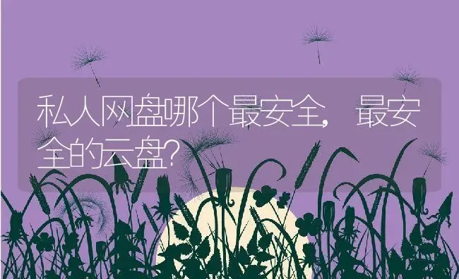 私人网盘哪个最安全,最安全的云盘？ | 养殖学堂