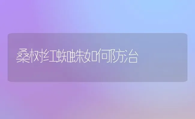 桑树红蜘蛛如何防治 | 养殖知识