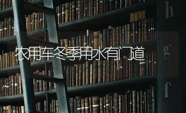 农用车冬季用水有门道 | 养殖知识