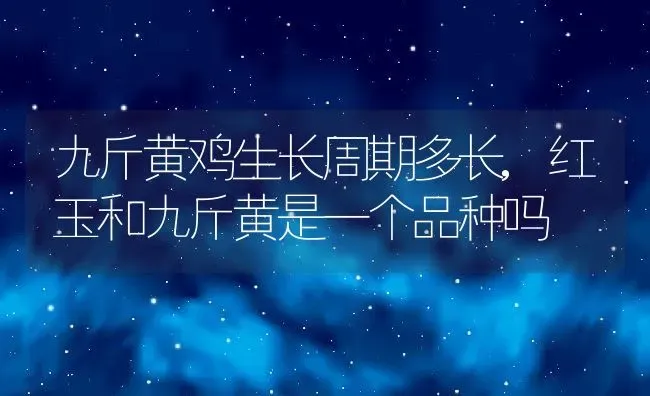 九斤黄鸡生长周期多长,红玉和九斤黄是一个品种吗 | 养殖学堂