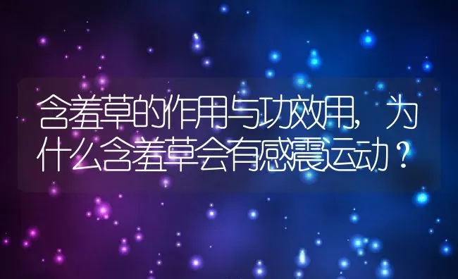 含羞草的作用与功效用,为什么含羞草会有感震运动？ | 养殖科普