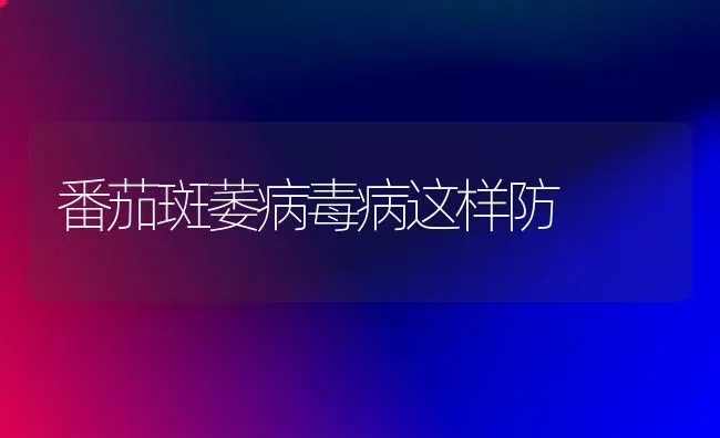 番茄斑萎病毒病这样防 | 养殖知识