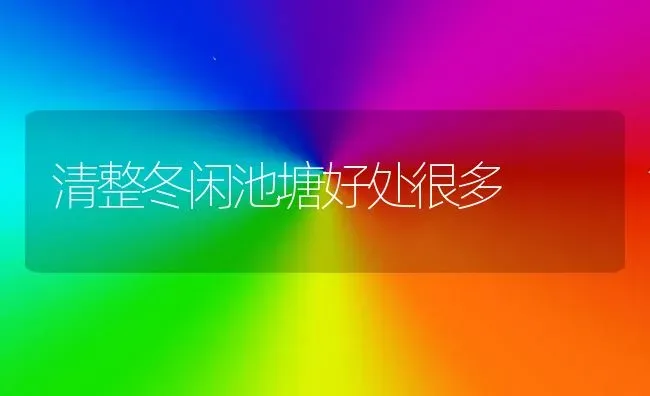 清整冬闲池塘好处很多 | 养殖知识
