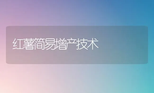 红薯简易增产技术 | 养殖技术大全