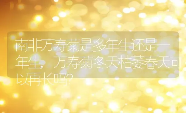 南非万寿菊是多年生还是一年生,万寿菊冬天枯萎春天可以再长吗？ | 养殖科普