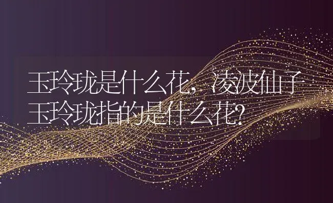 玉玲珑是什么花,凌波仙子玉玲珑指的是什么花？ | 养殖科普