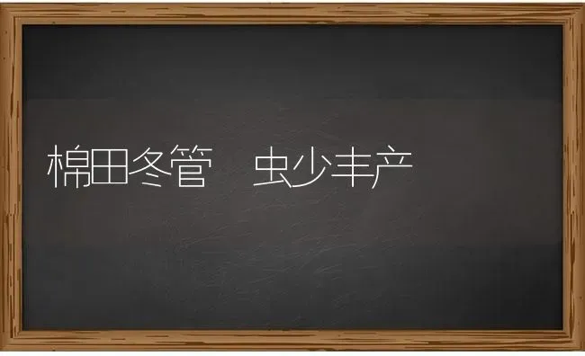 棉田冬管 虫少丰产 | 养殖技术大全