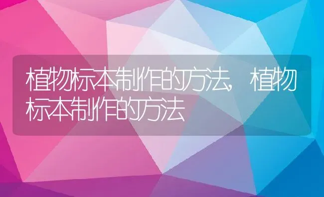 植物标本制作的方法,植物标本制作的方法 | 养殖学堂
