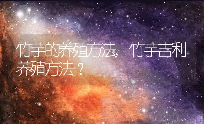 竹芋的养殖方法,竹芋吉利养殖方法？ | 养殖科普