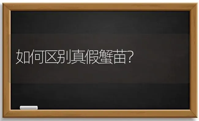 如何区别真假蟹苗? | 养殖知识